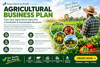 set up a professional busines plan