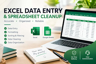 do accurate excel data entry and spreadsheet cleanup