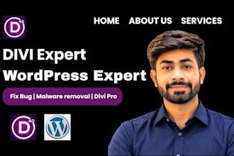 fix divi websites,fix elementor bugs, malware removal and website maintenance