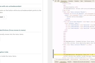 perform QA and wcag accessibility audits for your website