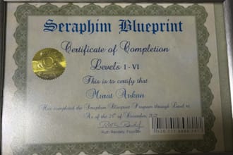 seraphim blueprint energy healing