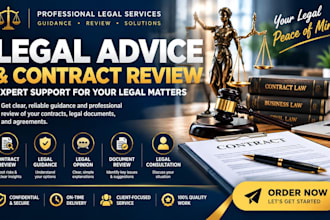 provide professional legal advice, lawyer consultation and contract review