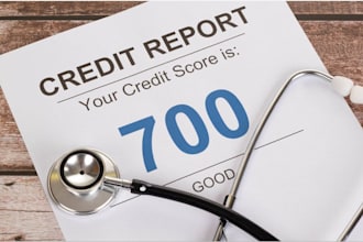 provide a professional credit repair, charge off, collection and dispute support