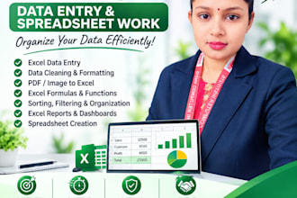 do excel data entry, formatting, cleaning and analytics