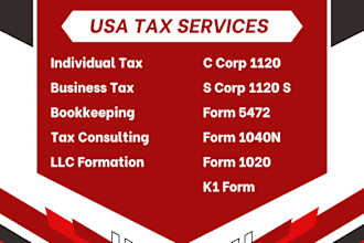 prepare and review your USA federal and state tax return, individual tax return