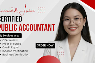write and sign CPA comfort letter, income verification letter, ownership letter