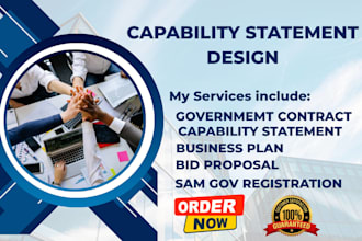 design government capability statement for government contract grant proposal