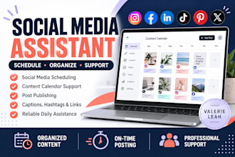 be your professional buffer expert and social media content scheduler metricoo