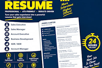 write a sales resume, sales executive resume in 24 hours
