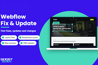 fix, update or customize your webflow website