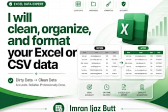 excel data entry, data cleaning and formatting