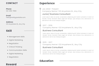 write a professional resume and CV for your job