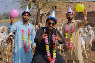 wish funny happy birthday video africa happy birthday video