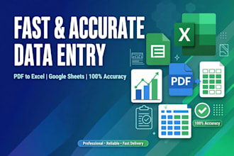 do fast and accurate data entry and excel work
