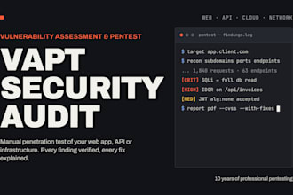 perform a vapt security audit