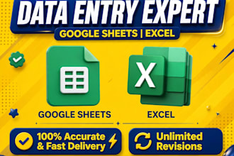 data entry and google sheets expert