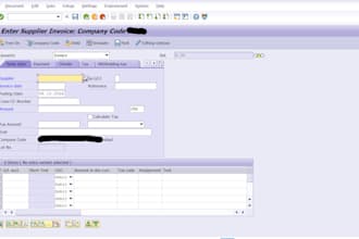 do accounts payable, invoice processing, bookkeeping in sap
