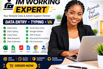 be your professional im worker and data entry expert