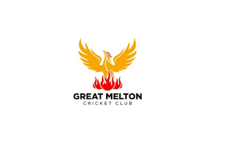 design facelift revamp classic cricket club logo