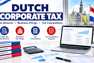 prepare dutch corporate tax returns, business tax filings and tax calculations