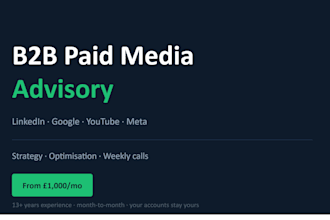 manage b2b paid ads