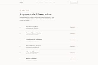 write professional website and landing page copy
