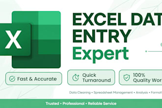do excel data entry formulas charts data cleanup
