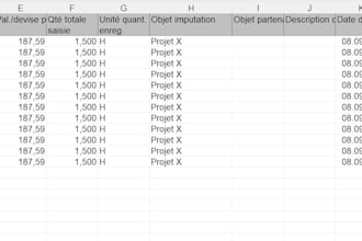 do accounting, analyses, reportings
