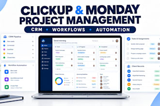 setup clickup or monday CRM, workflows, dashboards and business automation