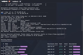 perform web application penetration testing and security assessment