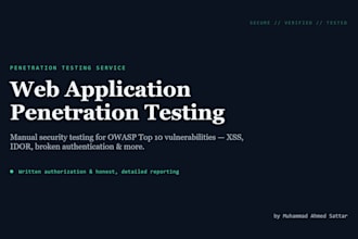 perform web application vulnerability assessment and security testing