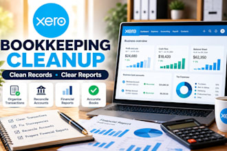 provide xero bookkeeping cleanup and financial reporting services