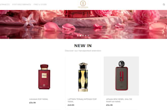 build a professional shopify store for your e commerce business