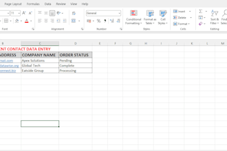 do professional data entry and transcription for you