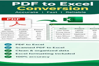 convert PDF or scanned files to excel