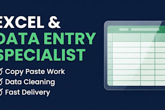 do professional data entry and copy paste work in excel