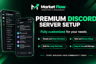 setup a custom professional discord server
