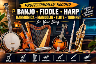 record banjo fiddle harp harmonica mandolin flute