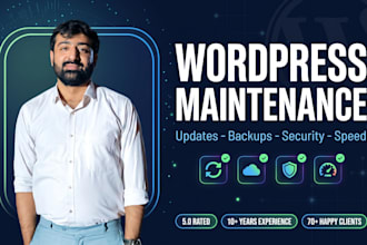 maintain, update and secure your wordpress site