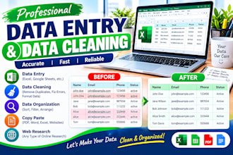 data entry , data cleaning,