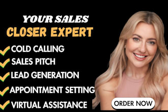 be sales closer high ticket sales representative appointment setter sales person