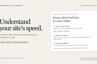 audit wordpress and woocommerce speed with an actionable report