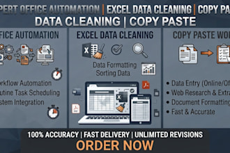 do office automation, excel data cleaning,  data entry work