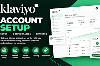 do klaviyo setup, onboarding, email audit and domain setup