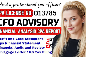 do financial analysis, cfo advisory, forecasting, financial modeling, CPA report