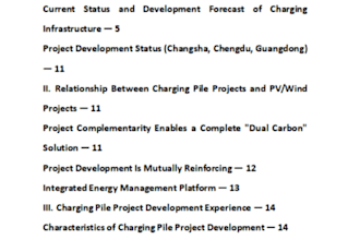 do chinese new energy market research