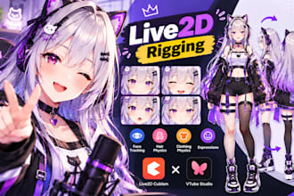 rig your live2d vtuber model with smooth face tracking and realistic physics