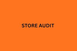 do full store audit for your ecommerce store seo sem