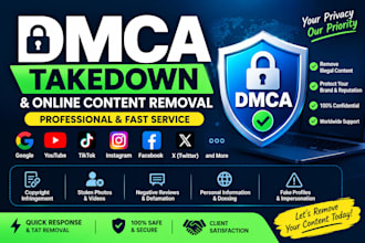 do professional dmca takedown and copyright infringement