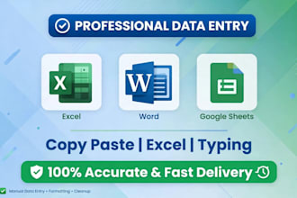 do fast data entry  copy paste  excel work and typing